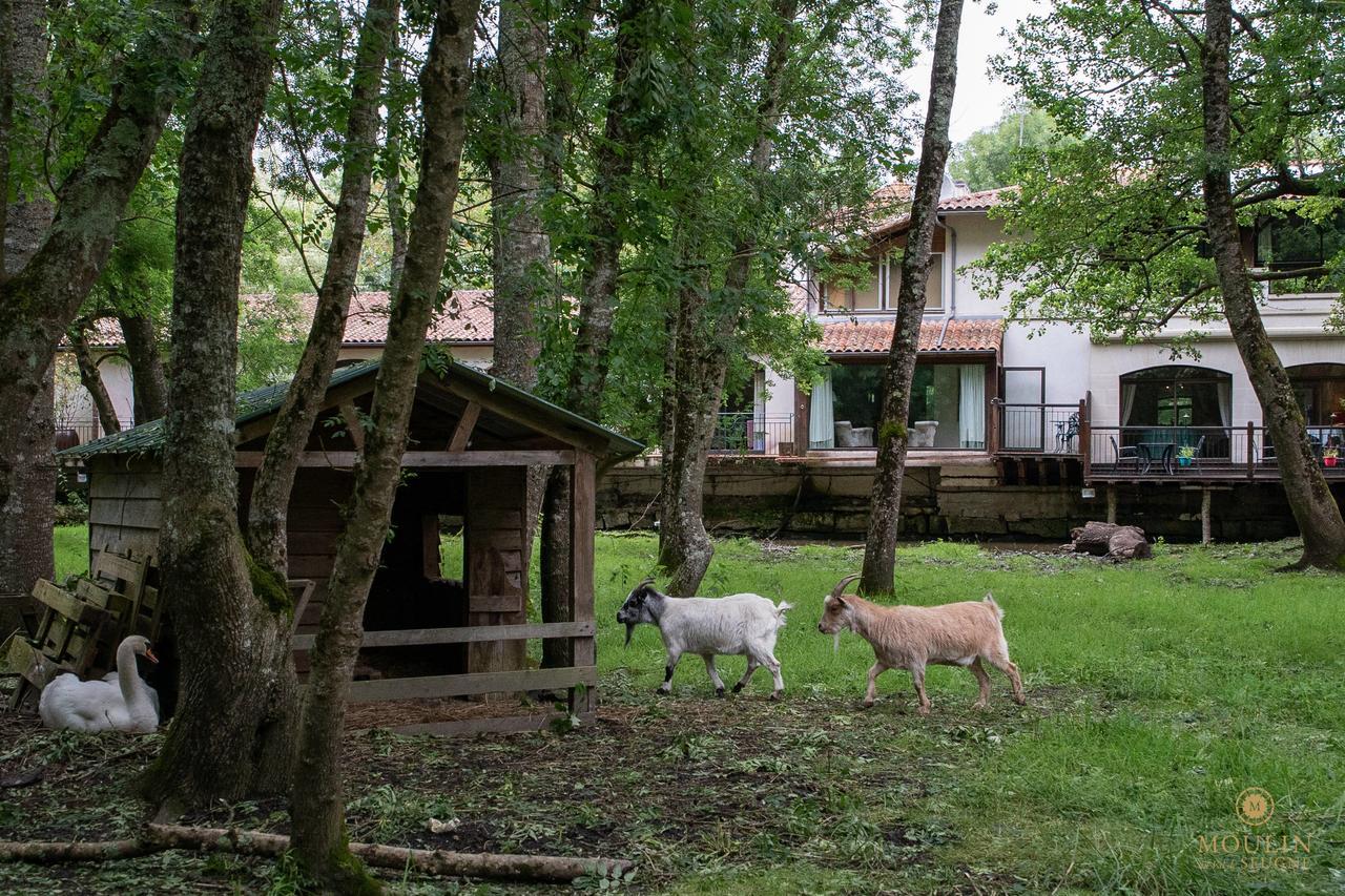 Moulin Du Val De Seugne Hotell Mosnac  Exteriör bild